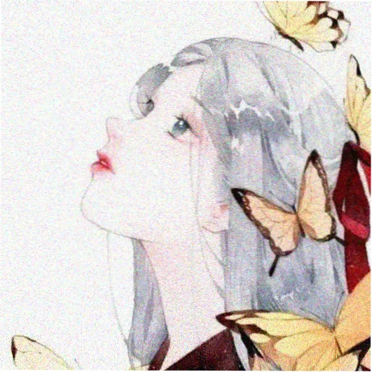 岛民 夜猫 的头像